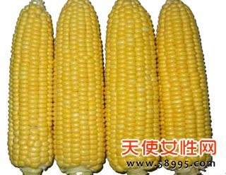 玉米如何丰胸