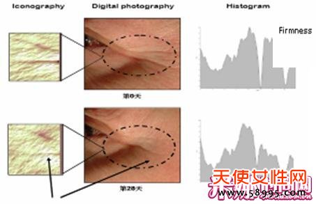 谮֮սҺ 14ת漡